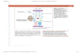 5Imunologia e Microbiologia 1ed-1014615-TDAB2C121