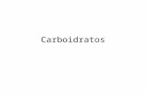 Aula 4 - Carboidratos e Lipideos[1]