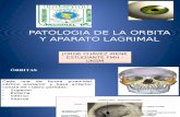 Patologia de La Orbita y Apa.lagrimal