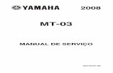 Manual de Serviços Mt03 2008