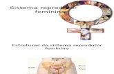 02 - AULA 01 - Sistema Reprodutor Feminino