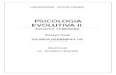 Psicologia Evolutiva II Ensayo Final