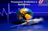 Processos Endêmico e Epidêmico