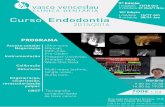 Curso Vasco Venceslau Endodontia 2015/2016