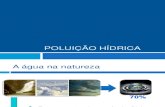 Poluição Das Águas PDF