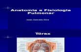 Anatomia e fisiologia pulmonar.ppt