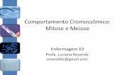 Aula 5 - Mitose e Meiose (1).pdf
