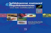 Schistosoma Mansoni e Esquistossomose Uma Visao Multidisciplinar