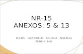 Anexos Nr-15 - Cópia