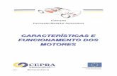 Caracteristicas e funcionamento dos Motores.pdf