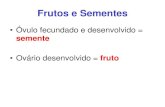 Frutos e Sementes