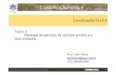 Aula - Patologia Concreto - Caso Joá.pdf