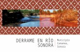 Expo Rio Sonora