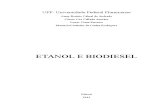 Etanol e Biodiesel Mais Recente 2003