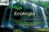 Ecologia - Ciclos Biogeoquímicos (Questões de Vestibulares)