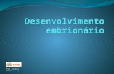 5 - Desenvolvimento Embrionário