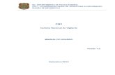 Manual Do Usuario - Requerimento Eletronico de CNV (3)