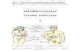 Sistema Endócrino - Caderno 15.doc