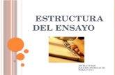 0 Estructura Del Ensayo (2)