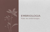 Embriologia Geral (Lâminas)