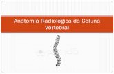 Anatomia Radiológica Da Coluna Vertebral