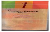 Embrioilogia Básica-2.pdf