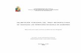 Delimitación funcional del área metropolitana territorio de Santiago - Un territorio en busca de gobierno (Juan PRADENAS GAETE - 2006).pdf