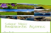Caderno Saber Mais Ambiente Açores