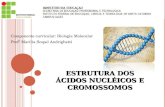 1º Aula - Estrutura Dos Ácidos Nucléicos e Cromossomos