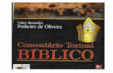 Valter Alexandre Pinheiro de Oliveira - Comentário Textual Bíblico