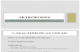 Apresentação 3 - Artrópodes