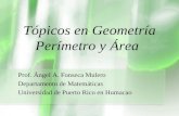 Tópicos en Geometría Perímetro y Área Prof. Ángel A. Fonseca Mulero Departamento de Matemáticas Universidad de Puerto Rico en Humacao.
