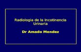 Radiologia de la Incotinencia Urinaria Dr Amado Mendez.