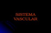 SISTEMA VASCULAR. Sistema Cardiovascular CORAZON (Bomba) Vasos (SISTEMA DE DISTRIBUCION) REGULACION AUTOREGULACION NEURAL HORMONAL RENAL SISTEMA DE CONTROL.