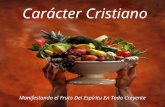 Leccion 3Fruto Del Espiritu1 Carácter Cristiano Manifestando el Fruto Del Espíritu En Todo Creyente.