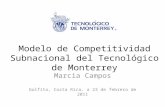 Modelo de Competitividad Subnacional del Tecnológico de Monterrey Marcia Campos Golfito, Costa Rica, a 23 de febrero de 2011.