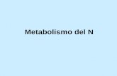 Metabolismo del N. El ciclo del N en la biosfera.