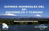 ÚLTIMOS HUMEDALES DEL DF: XOCHIMILCO Y TLÁHUAC Ameris Ixchel Contreras Silva.