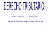 1/30 CICLO/AULA: VII / 07-F PROF. CÉSAR M. VILLEGAS LÉVANO.