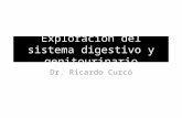 Exploración del sistema digestivo y genitourinario Dr. Ricardo Curcó.