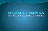 DR. CARLOS N DEL RIO ALMENDAREZ. ENCEFALITIS ASEPTICA ENCEFALITIS VIRAL MENINGOENCEFALITIS TUBERCULOSA ENCEFALITIS Y MENINGOENCEFALITIS MICOTICA MENINGITIS.