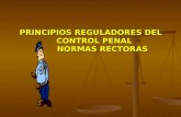 PRINCIPIOS REGULADORES DEL CONTROL PENAL NORMAS RECTORAS.