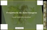 Frequência da Auto-Imagem Portal: Keys of the Arcturians
