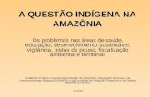 A QUESTÃO INDÍGENA NA AMAZÔNIA