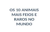 OS 10 ANIMAIS MAIS FEIOS E RAROS NO MUNDO