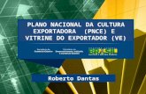 PLANO NACIONAL DA CULTURA EXPORTADORA  (PNCE) E  VITRINE DO EXPORTADOR (VE)