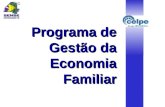 Programa de Gestão da Economia Familiar