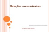 Mutações cromossômicas
