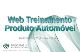 Web Treinamento Produto Automóvel