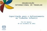 Capacitação para  o  Enfrentamento ao Trabalho Infantil Foz  do Iguaçu, 07 de  novembro  de 2012